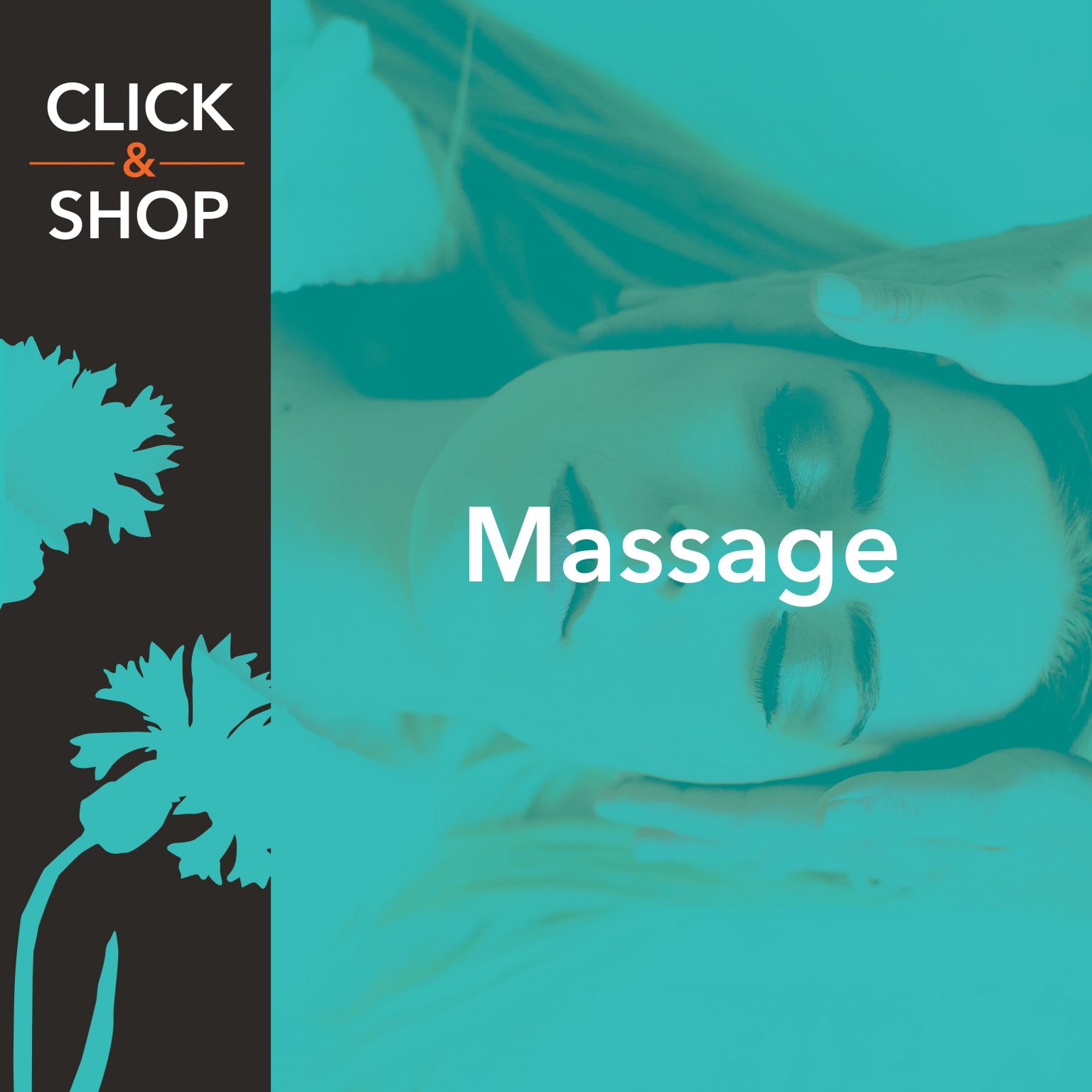 Wholesale Professional Massage Products